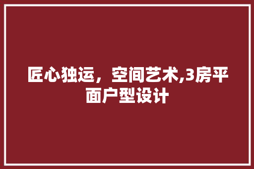 匠心独运，空间艺术,3房平面户型设计