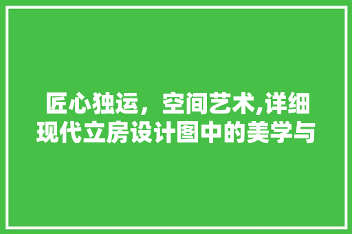 匠心独运，空间艺术,详细现代立房设计图中的美学与功能