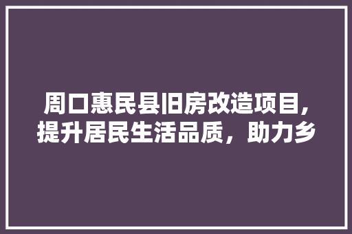 周口惠民县旧房改造项目,提升居民生活品质，助力乡村振兴