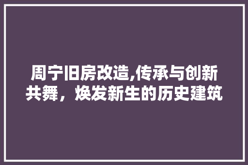 周宁旧房改造,传承与创新共舞，焕发新生的历史建筑