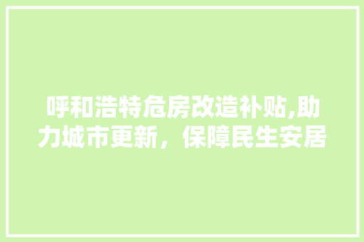 呼和浩特危房改造补贴,助力城市更新，保障民生安居 墙面装饰