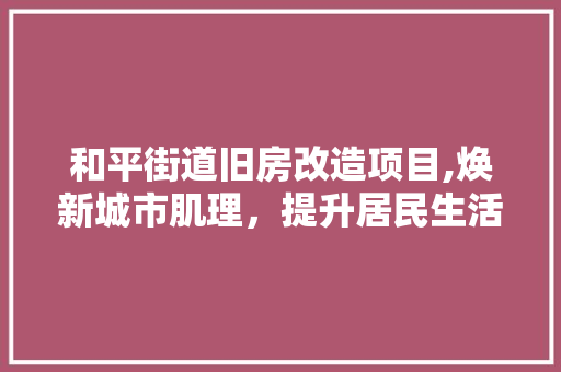 和平街道旧房改造项目,焕新城市肌理，提升居民生活品质