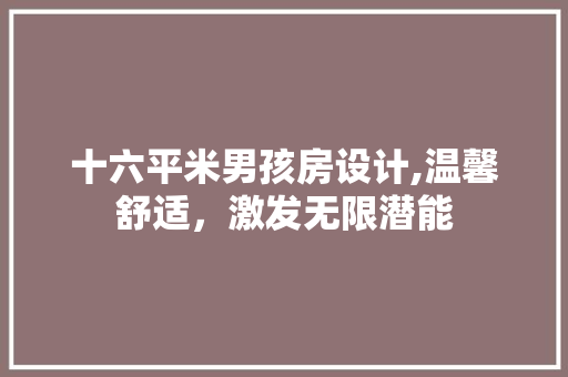 十六平米男孩房设计,温馨舒适,激发无限潜能 隔断设计 十六平米男孩房设计,温馨舒适,激发无限潜能 隔断设计