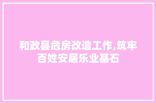 和政县危房改造工作,筑牢百姓安居乐业基石