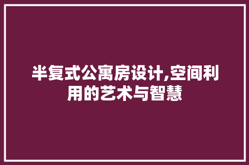 半复式公寓房设计,空间利用的艺术与智慧