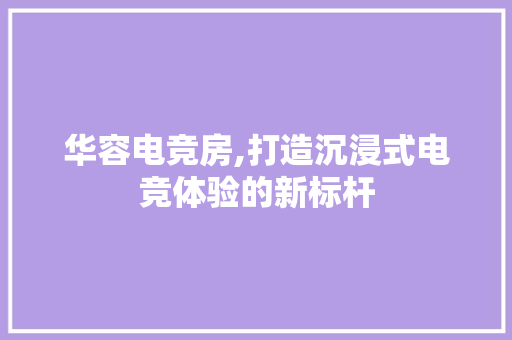 华容电竞房,打造沉浸式电竞体验的新标杆