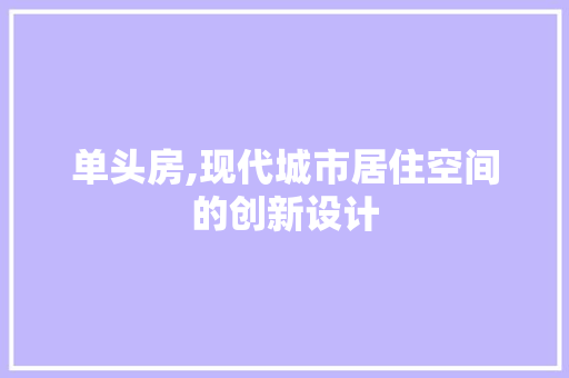 单头房,现代城市居住空间的创新设计
