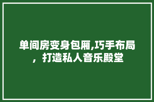 单间房变身包厢,巧手布局,打造私人音乐殿堂 隔断设计 单间房变身包厢,巧手布局,打造私人音乐殿堂 隔断设计