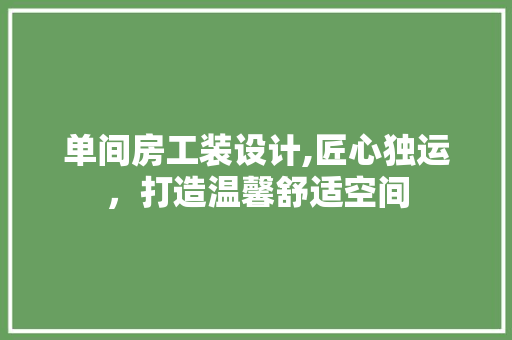 单间房工装设计,匠心独运，打造温馨舒适空间