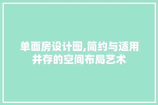 单面房设计图,简约与适用并存的空间布局艺术