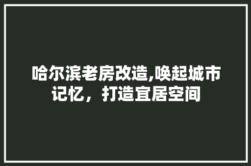 哈尔滨老房改造,唤起城市记忆，打造宜居空间