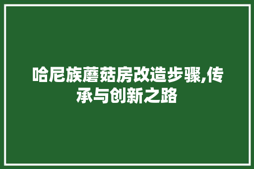哈尼族蘑菇房改造步骤,传承与创新之路