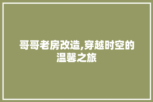 哥哥老房改造,穿越时空的温馨之旅 装修材料
