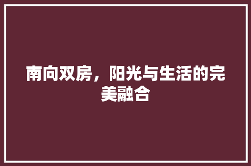 南向双房，阳光与生活的完美融合