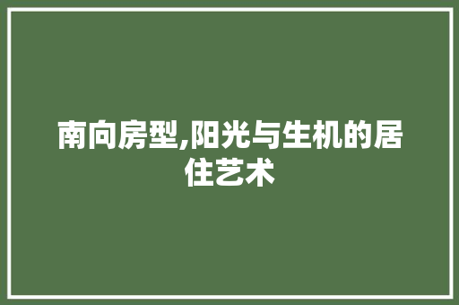 南向房型,阳光与生机的居住艺术