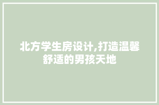 北方学生房设计,打造温馨舒适的男孩天地