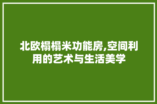 北欧榻榻米功能房,空间利用的艺术与生活美学 庭院装修 北欧榻榻米功能房,空间利用的艺术与生活美学 庭院装修