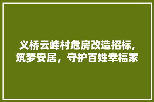 义桥云峰村危房改造招标,筑梦安居，守护百姓幸福家园