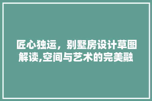 匠心独运，别墅房设计草图解读,空间与艺术的完美融合