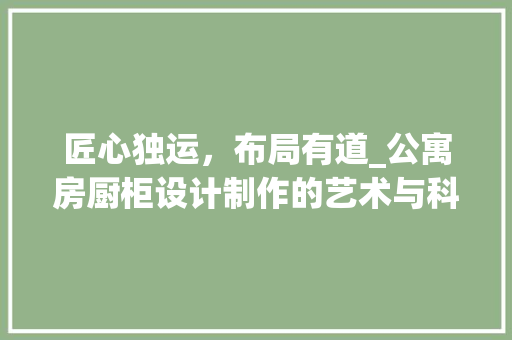 匠心独运，布局有道_公寓房厨柜设计制作的艺术与科学