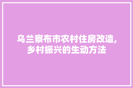 乌兰察布市农村住房改造,乡村振兴的生动方法