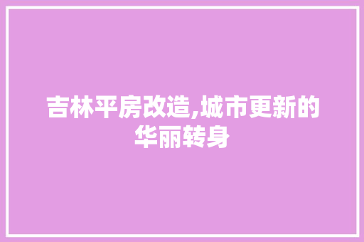 吉林平房改造,城市更新的华丽转身