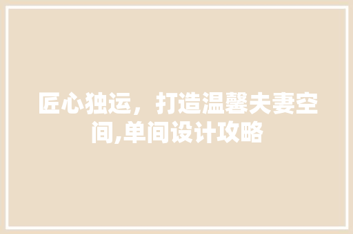 匠心独运，打造温馨夫妻空间,单间设计攻略