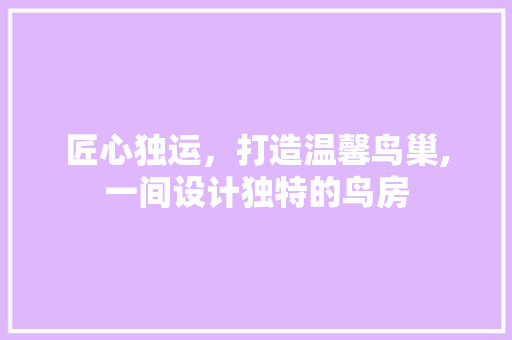 匠心独运，打造温馨鸟巢,一间设计独特的鸟房