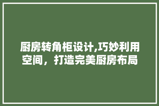 厨房转角柜设计,巧妙利用空间，打造完美厨房布局 隔断设计
