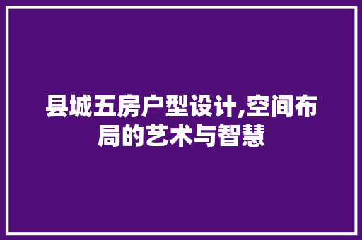 县城五房户型设计,空间布局的艺术与智慧 庭院装修
