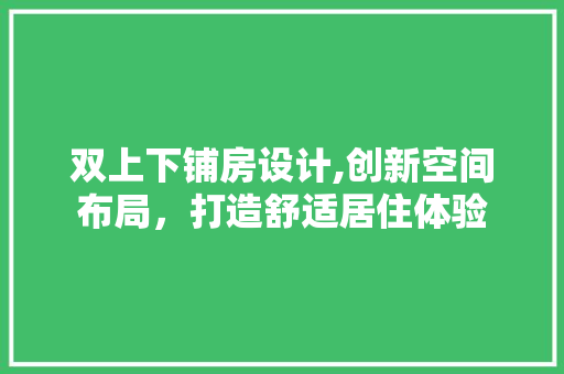 双上下铺房设计,创新空间布局，打造舒适居住体验 装修攻略