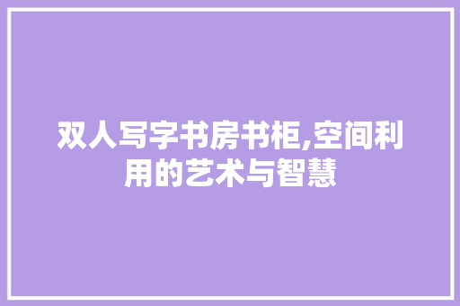 双人写字书房书柜,空间利用的艺术与智慧