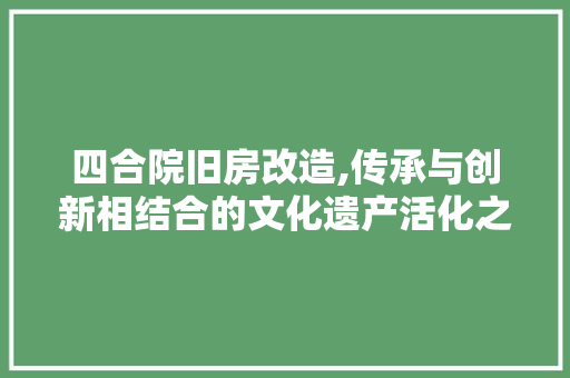 四合院旧房改造,传承与创新相结合的文化遗产活化之路