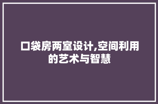 口袋房两室设计,空间利用的艺术与智慧