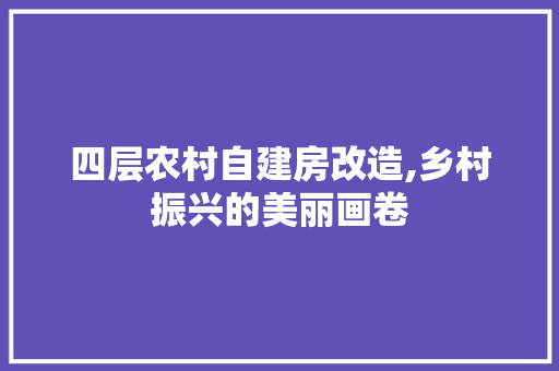 四层农村自建房改造,乡村振兴的美丽画卷