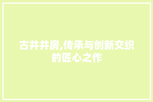 古井井房,传承与创新交织的匠心之作