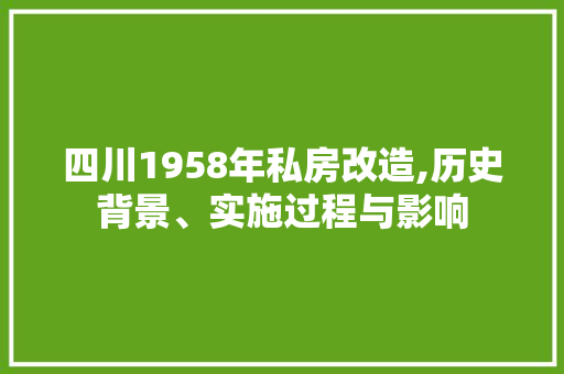 四川1958年私房改造,历史背景、实施过程与影响