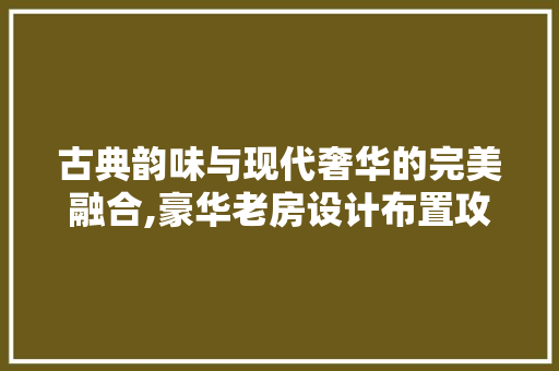 古典韵味与现代奢华的完美融合,豪华老房设计布置攻略 墙面装饰