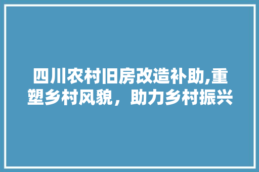 四川农村旧房改造补助,重塑乡村风貌，助力乡村振兴