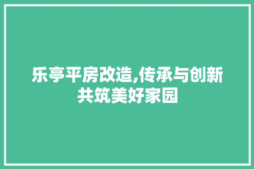 乐亭平房改造,传承与创新共筑美好家园