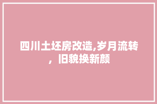 四川土坯房改造,岁月流转，旧貌换新颜