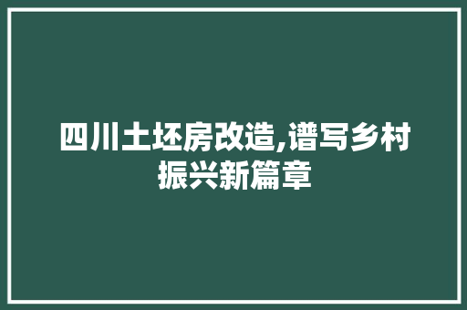 四川土坯房改造,谱写乡村振兴新篇章