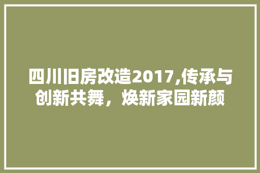 四川旧房改造2017,传承与创新共舞，焕新家园新颜