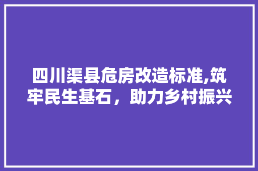 四川渠县危房改造标准,筑牢民生基石，助力乡村振兴