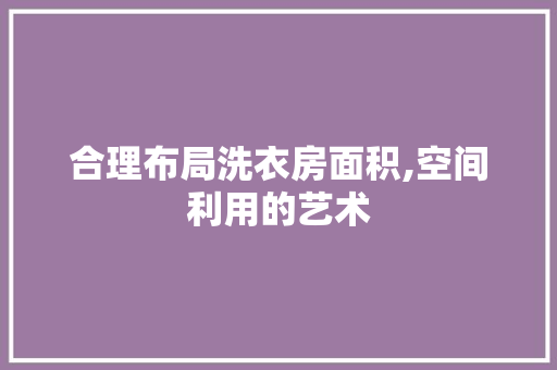 合理布局洗衣房面积,空间利用的艺术