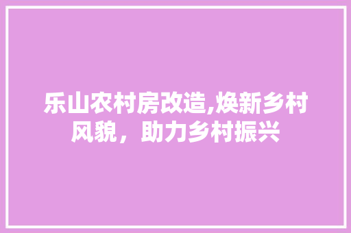 乐山农村房改造,焕新乡村风貌，助力乡村振兴