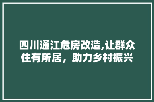 四川通江危房改造,让群众住有所居，助力乡村振兴