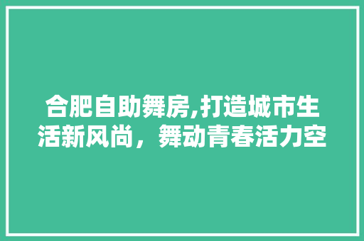 合肥自助舞房,打造城市生活新风尚，舞动青春活力空间
