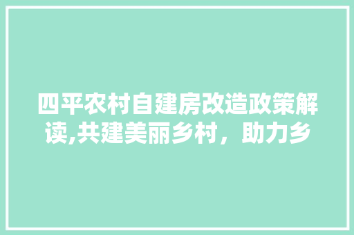 四平农村自建房改造政策解读,共建美丽乡村，助力乡村振兴