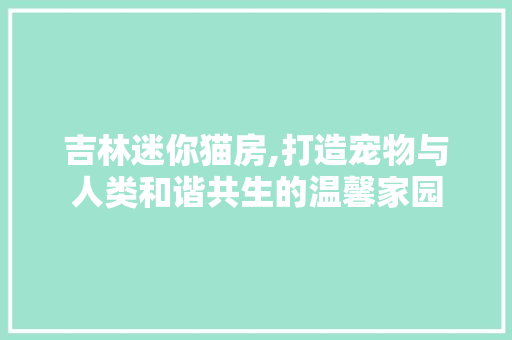 吉林迷你猫房,打造宠物与人类和谐共生的温馨家园